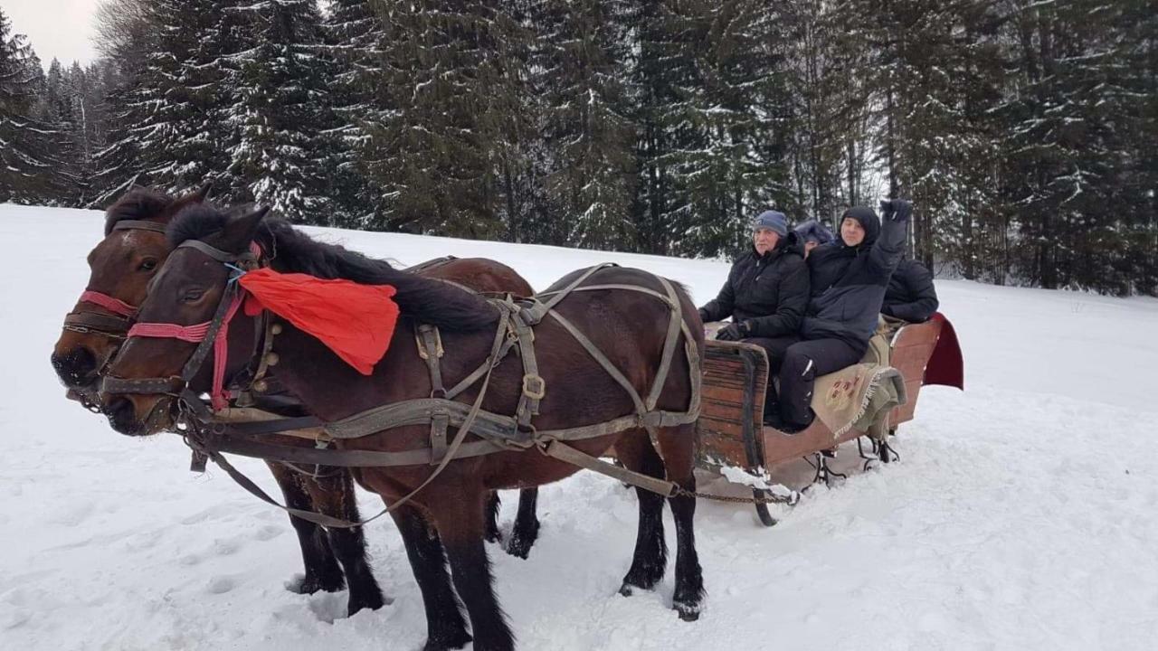 Гостевой дом Casa Bradet Инторсура-Бузэулуй Экстерьер фото